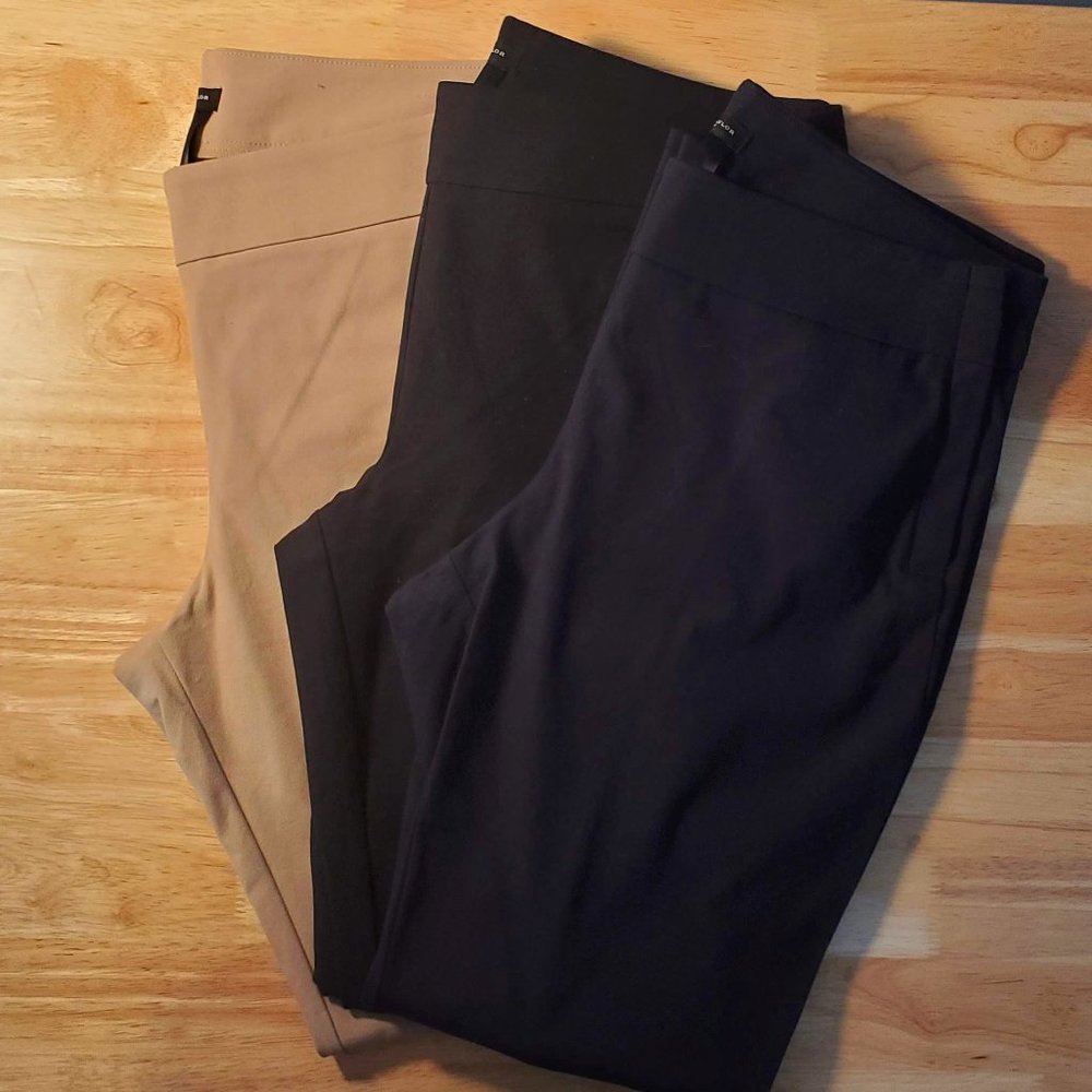 ✨️Ann Taylor Factory Side Zip Ankle Pants BUNDLE